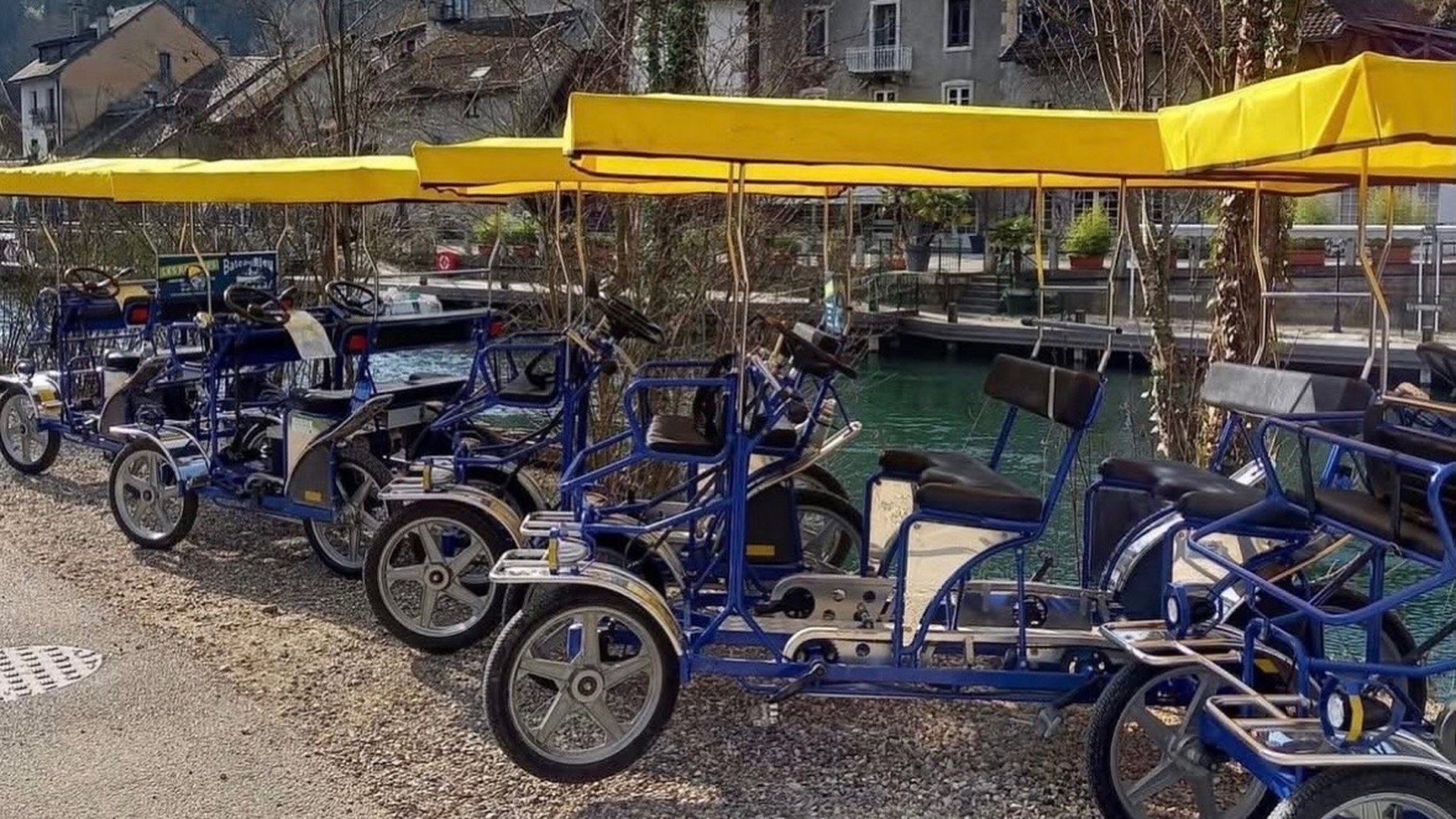 Les rosalies alignées au bord du canal, à Chanaz